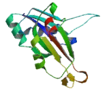 RNA Binding Motif Protein 18 (RBM18)