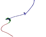 RNA Binding Motif Protein 33 (RBM33)