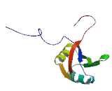 RNA Binding Motif Protein 41 (RBM41)