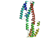 RNA Binding Motif Protein 43 (RBM43)