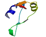 RNA Binding Protein S1, Serine Rich Domain (RNPS1)