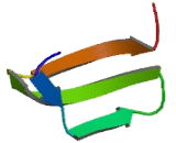 RNA Export 1 Homolog (RAE1)