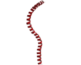 RNA Guanine-9-Methyltransferase Domain Containing Protein 1 (RG9MTD1)