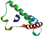 tRNA Methyltransferase 10 Homolog A (TRMT10A)