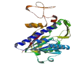 RNA Methyltransferase (RNMT)