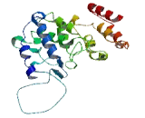 RNA Polymerase I Transcription Factor homolog (RRN3)