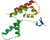 RNA Polymerase II, DNA Directed Polypeptide D (POLR2D)