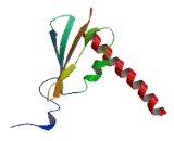 RNA Polymerase II, DNA Directed Polypeptide J3 (POLR2J3)