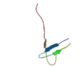 RNA Polymerase II, DNA Directed Polypeptide K (POLR2K)