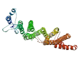 RNA Polymerase II Associated Protein 2 (RPAP2)