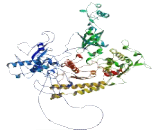 RNA Polymerase III, DNA Directed Polypeptide A (POLR3A)