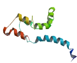 RNA Polymerase III, DNA Directed Polypeptide C (POLR3C)