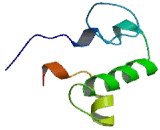 RNA Polymerase III, DNA Directed Polypeptide G (POLR3G)