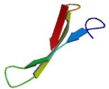 RNA Polymerase III, DNA Directed Polypeptide K (POLR3K)