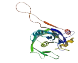 RNA Pseudouridylate Synthase Domain Containing Protein 3 (RPUSD3)