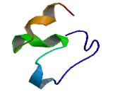 Somatomedin B And Thrombospondin Type 1 Domain Containing Protein (SBSPON)