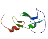 RUN And FYVE Domain Containing Protein 1 (RUFY1)