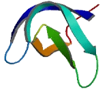 RUN And SH3 Domain Containing Protein 1 (RUSC1)