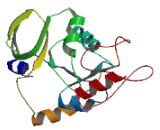 RUN Domain Containing Protein 1 (RUNDC1)