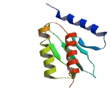 RWD Domain Containing Protein 1 (RWDD1)