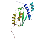 RWD Domain Containing Protein 2A (RWDD2A)