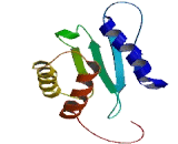 RWD Domain Containing Protein 3 (RWDD3)