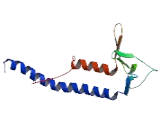 Rabphilin 3A Like Protein (RPH3AL)