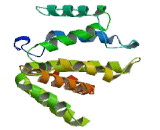 Rac-GTPase Activating Protein 1 (RACGAP1)