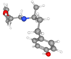 Ractopamine (RP)