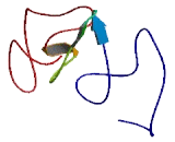 Radial Spoke Head Like Protein 1 (RSHL1)