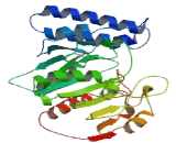 KAT8 Regulatory NSL Complex Subunit 3 (KANSL3)