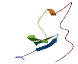 Radical S Adenosyl Methionine Domain Containing Protein 1 (RSAD1)