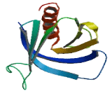 Ral GEF With PH Domain And SH3 Binding Motif 2 (RALGPS2)