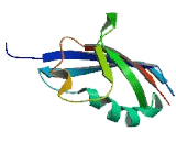 Ral Guanine Nucleotide Dissociation Stimulator Like Protein 2 (RGL2)