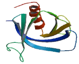 Ral Guanine Nucleotide Exchange Factor 2 (RALGEF2)