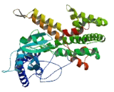 Rap Guanine Nucleotide Exchange Factor Like Protein 1 (RAPGEFL1)