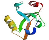 Ras Associating And Dilute Domain Containing Protein (RADIL)