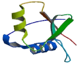 Ras Association Domain Containing Protein 2 (RASSF2)