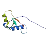 Ras Association Domain Containing Protein 6 (RASSF6)