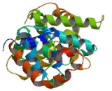 Ras GTPase Activating Protein 4 (RASA4)