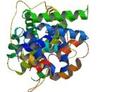 Ras GTPase Activating Protein 4B (RASA4B)