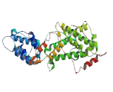 Ras Guanyl Releasing Protein 2 (RASGRP2)