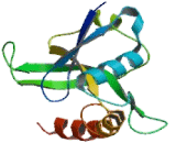 Ras Interacting Protein 1 (RASIP1)