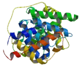 Ras Protein Activator Like Protein 2 (RASAL2)