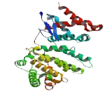 Ras Protein Activator Like Protein 3 (RASAL3)