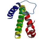 Ras Protein Specific Guanine Nucleotide Releasing Factor 1 (RASGRF1)