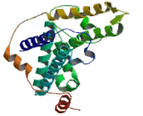 Ras Protein Specific Guanine Nucleotide Releasing Factor 2 (RASGRF2)