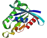 Ras Related Associated With Diabetes (RRAD)