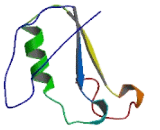 Ras Related GTP Binding Protein B (RRAGB)