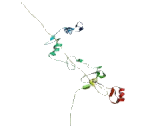 Ras Responsive Element Binding Protein 1 (RREB1)